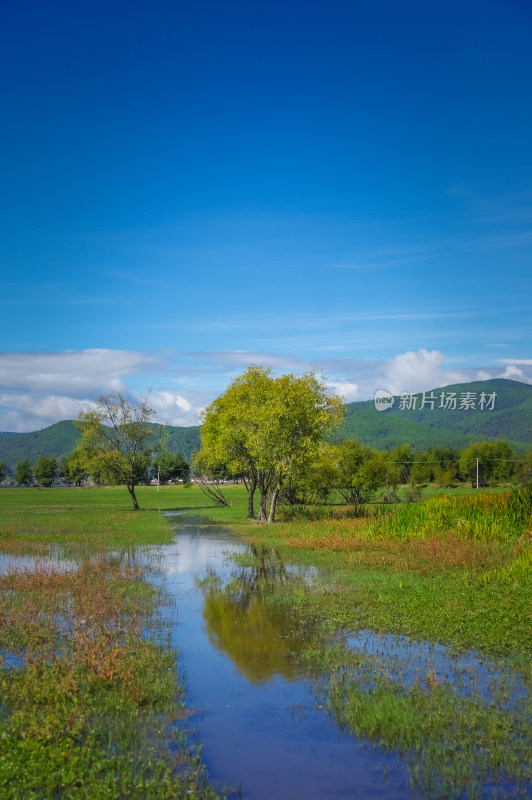 丽江拉市海湿地蓝天白云青山绿水自然风景