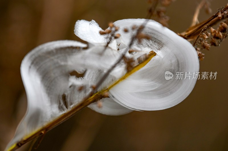 重庆酉阳：冻雨.冰花.鸟