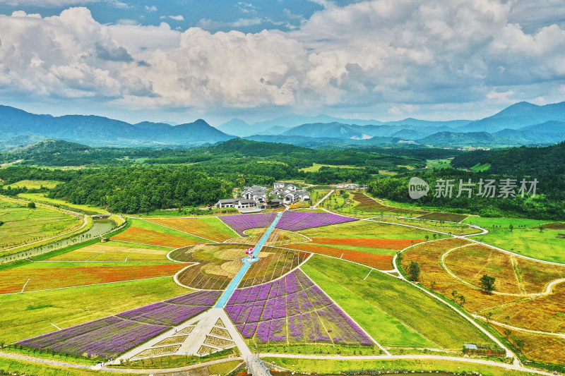 江西景德镇高岭村花海