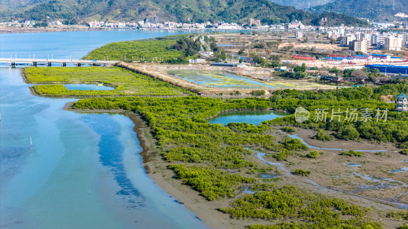 惠州市盐洲海洋湿地公园-红树林航拍