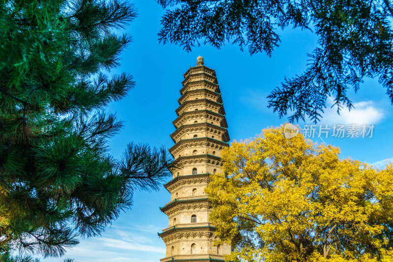 山西太原市地标永祚寺秋天古塔景观