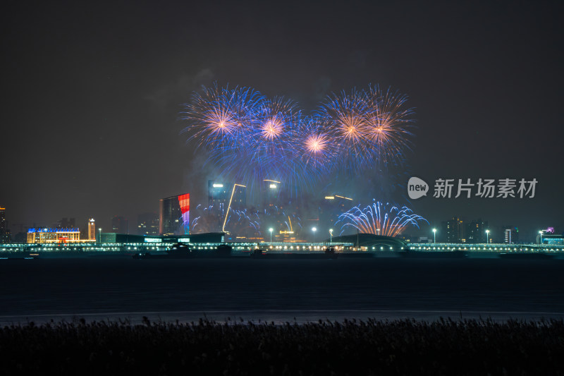 新年夜空中绽放的烟火