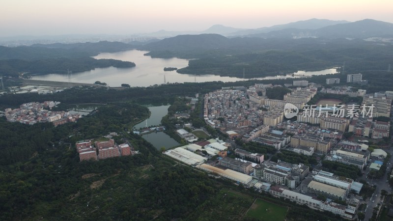 广东东莞：东城街道城市风光