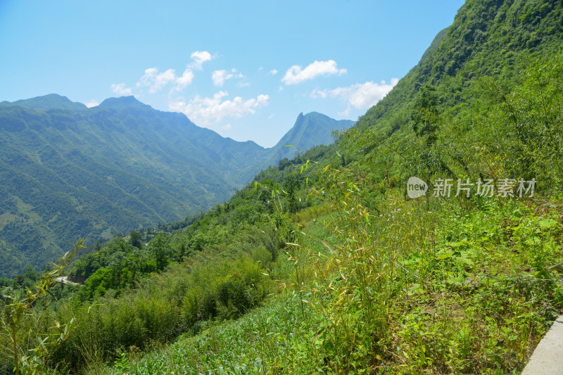 青山绿树自然风光