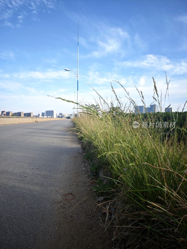 道路旁草地与城市远景