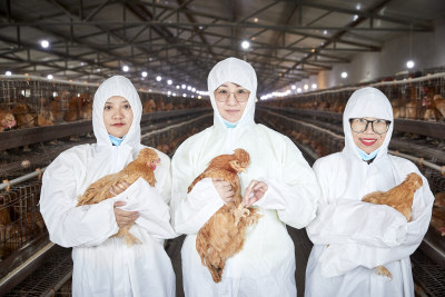 穿防护服怀抱家禽的三位女性饲养员