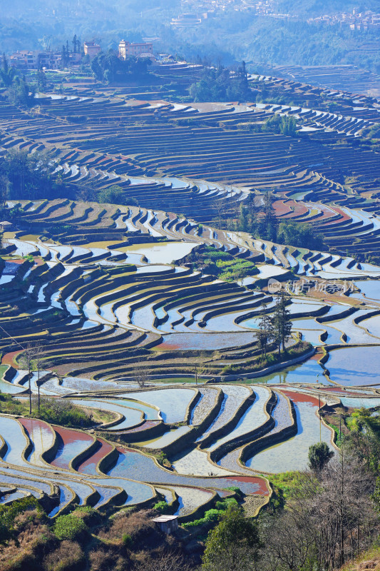 云南元阳梯田，灌水期，七彩梯田