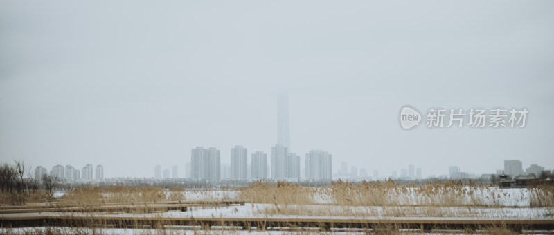 天津市水西公园 冬天雪景