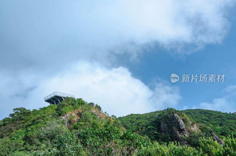 深圳大鹏半岛七娘山公园山顶树林自然风光
