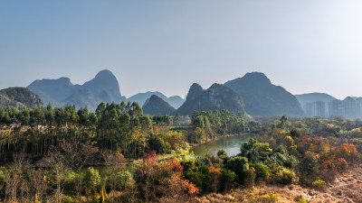 秋天阳光下桂林山边桃花江两岸的绿树和红叶