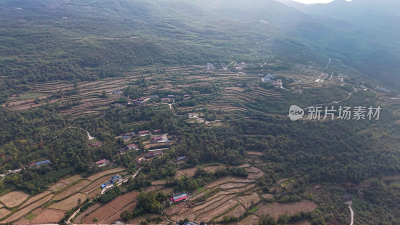 丘陵山川农田种植航拍图