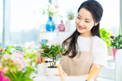 年轻女子在家种植盆栽