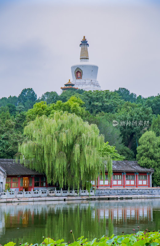 北京北海公园风光