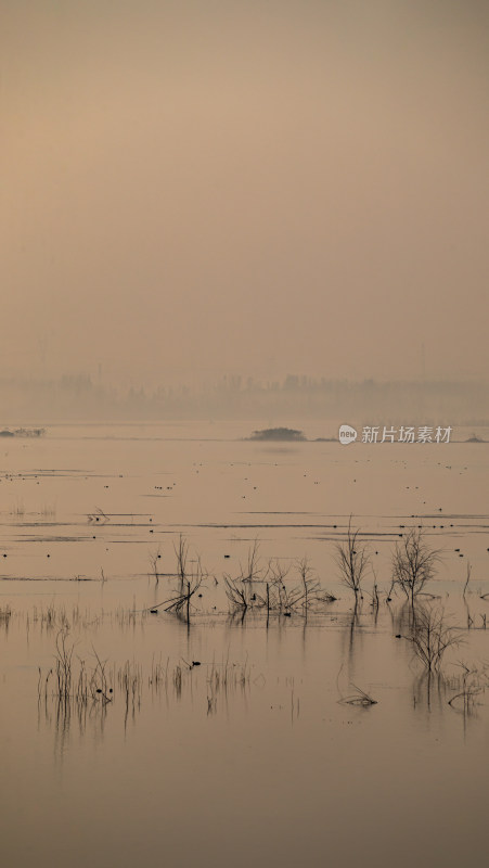 日出时的孟子湖湿地湖泊景观