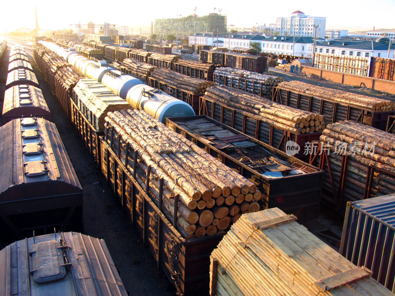 满洲里口岸运输俄罗斯进口木材列车