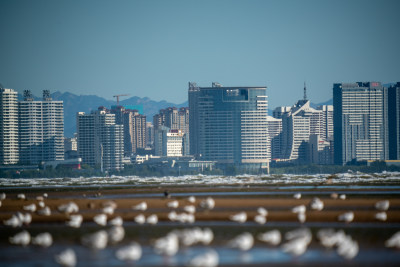 秦皇岛北戴河鸽子窝湿地