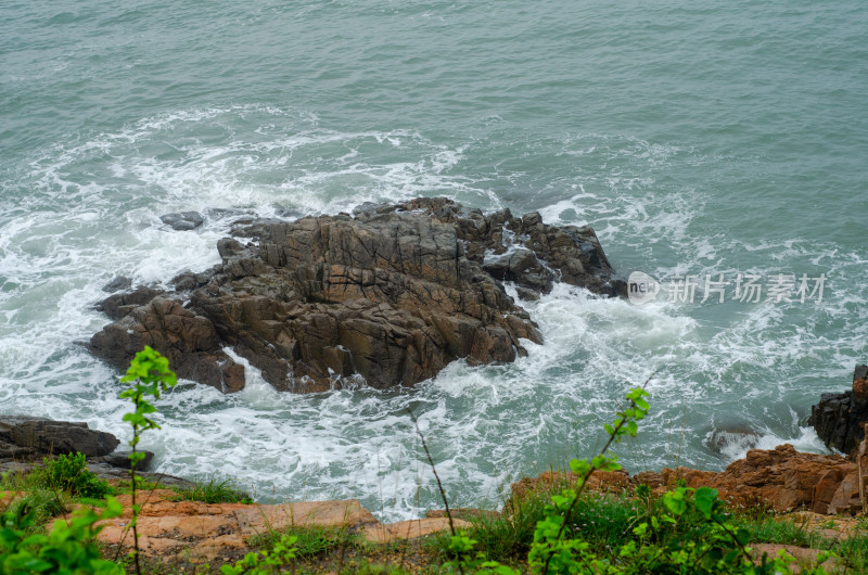 海岸上绿叶环绕，海水中波浪翻滚