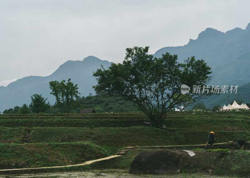 峨眉山田野劳作野趣