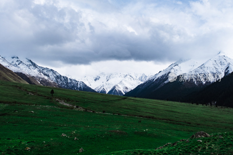 新疆夏塔雪山草原绝美震撼风光