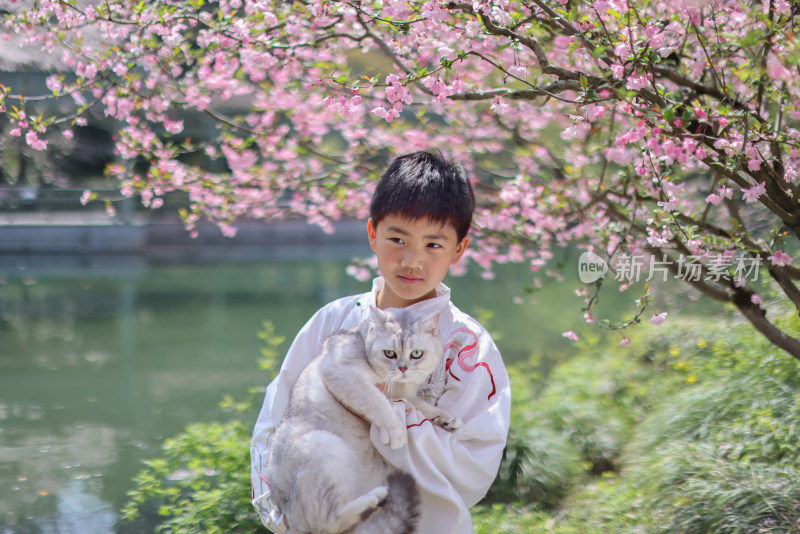 穿着汉服的小男孩抱着宠物猫在公园赏花