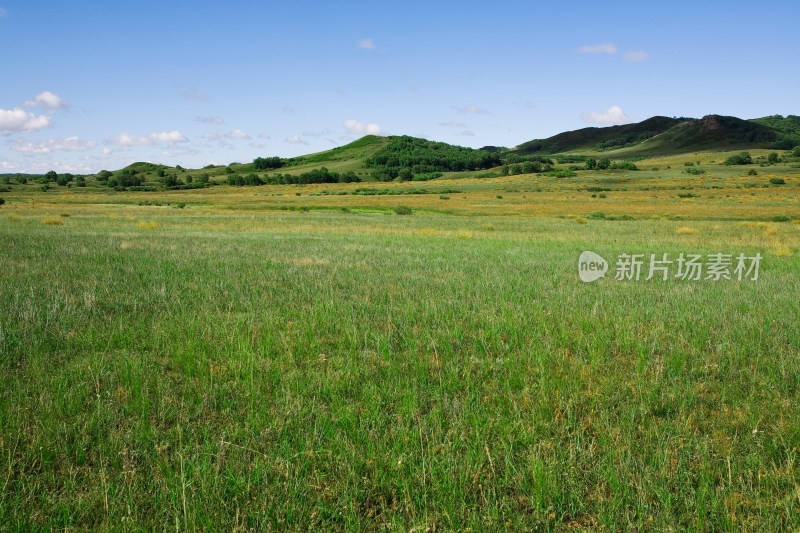 内蒙,坝上,乌兰木统,乌兰木统草原,红山,军马场,草原,草地,