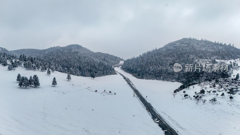 重庆酉阳：大雪纷飞赏雪忙