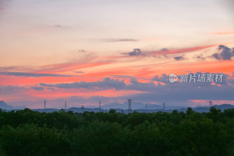 日落余晖下的静谧丛林