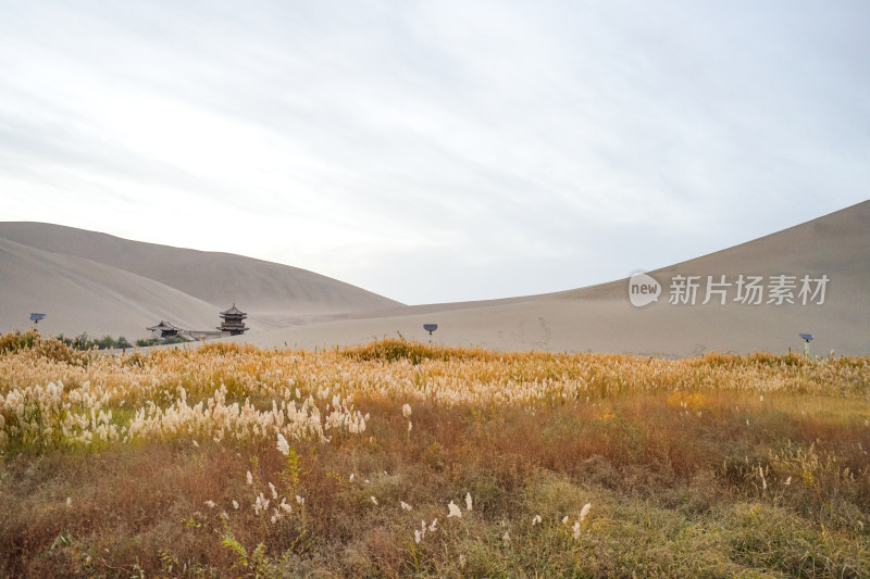 鸣沙山月牙泉景区，鸣沙山，沙丘