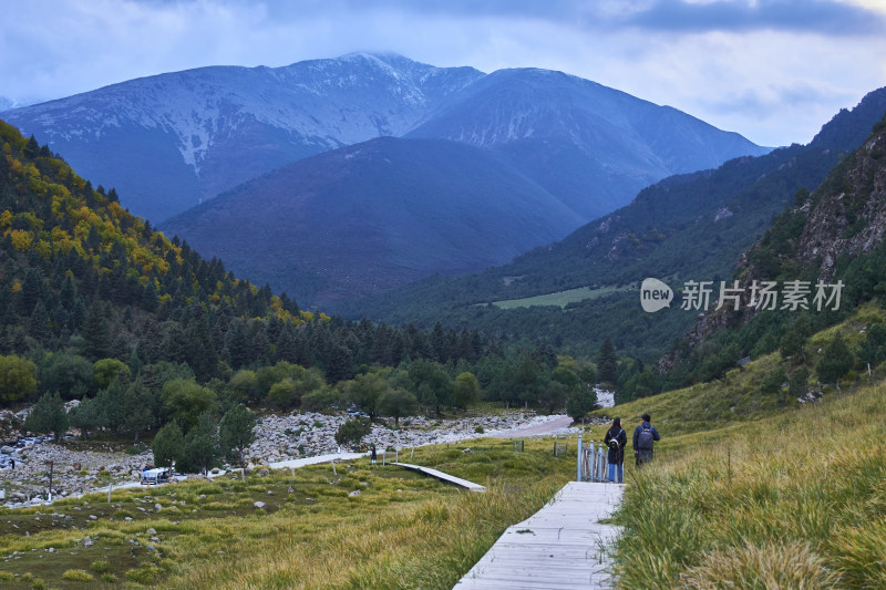 高山草甸的自然风光