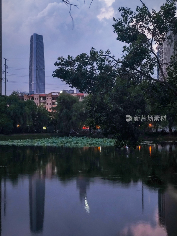 城市公园池塘边的摩天大楼倒影景观