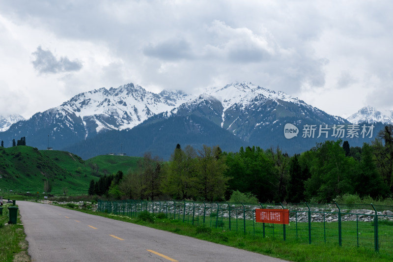 新疆伊犁恰西草原上通往雪山的公路