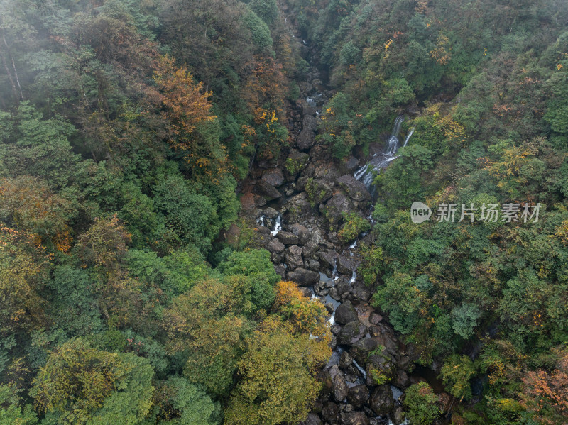 四川雅安龙苍沟山林溪流秋景