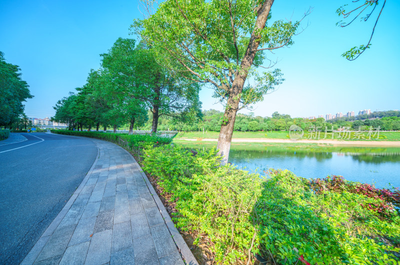 广州番禺金山湖文化公园滨湖林荫公路景观