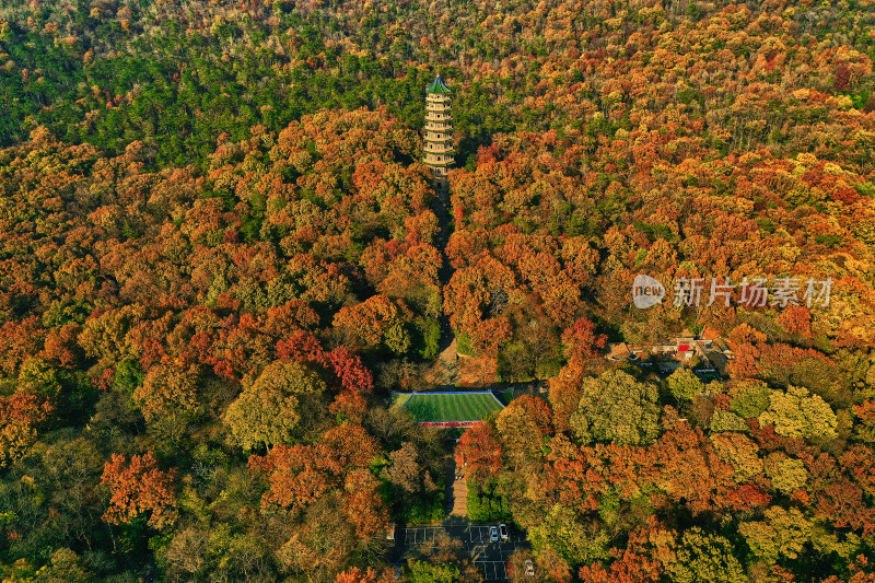 秋天的灵谷景区