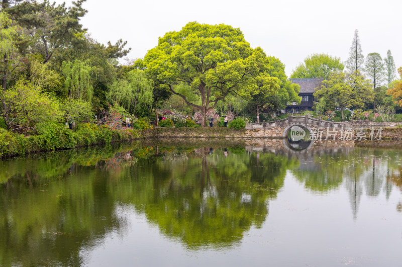 烟雨江南无锡蠡园春色