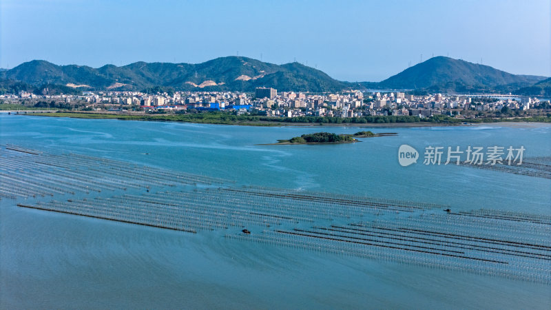 惠州市盐洲岛生蚝海上养殖场