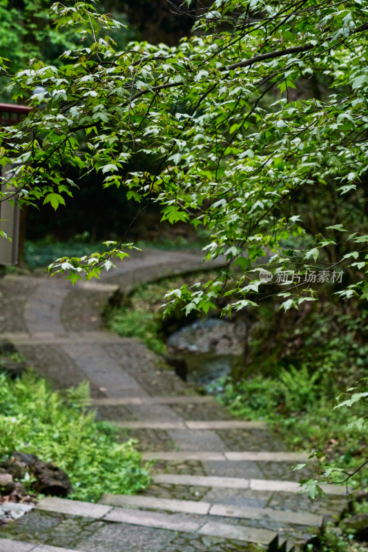 浙江绍兴斗岩风景区