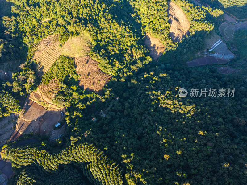 航拍绿意盎然的连绵起伏的山地景色