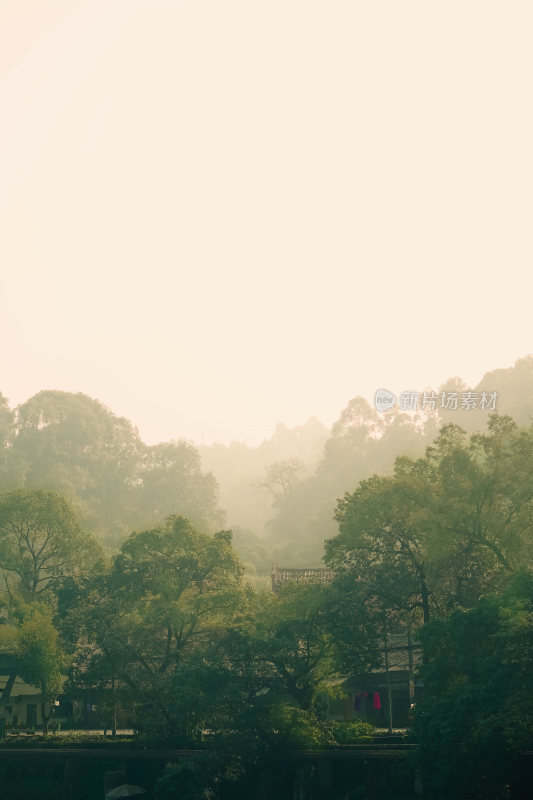 自然 远景 树林