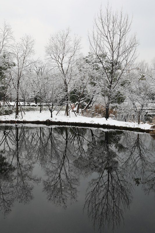 阿里巴巴西溪园区雪景