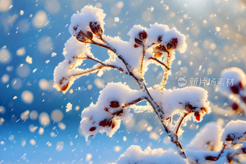 冬天风景大雪背景