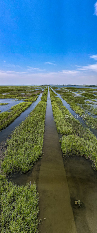 湖南洞庭湖水草竖屏全景