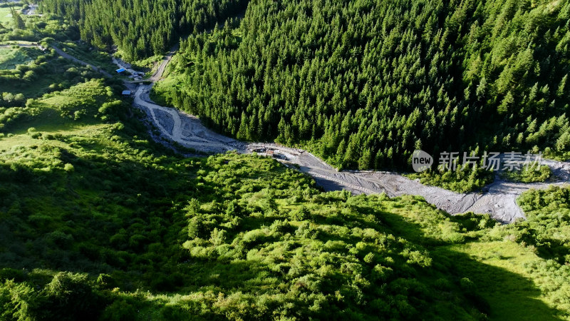 湿地 黄河 河流