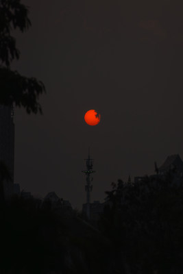 日落时的红太阳和剪影