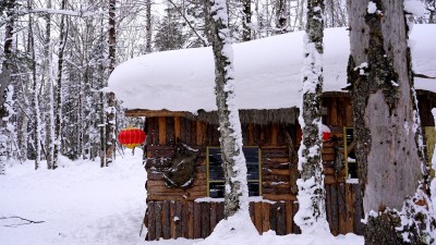 林海雪原