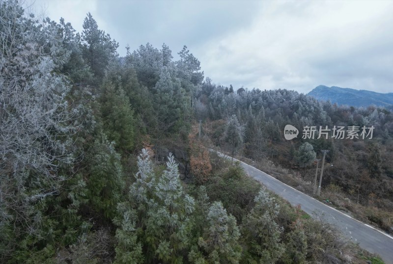 重庆酉阳：小界山上的第一场雪