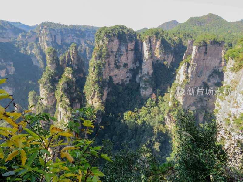 中国湖南张家界国家森林公园旅游风光