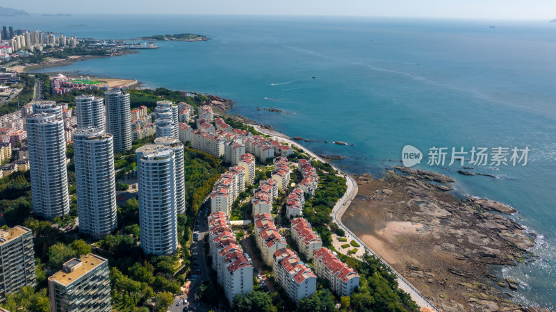 青岛海滨城市航拍风景