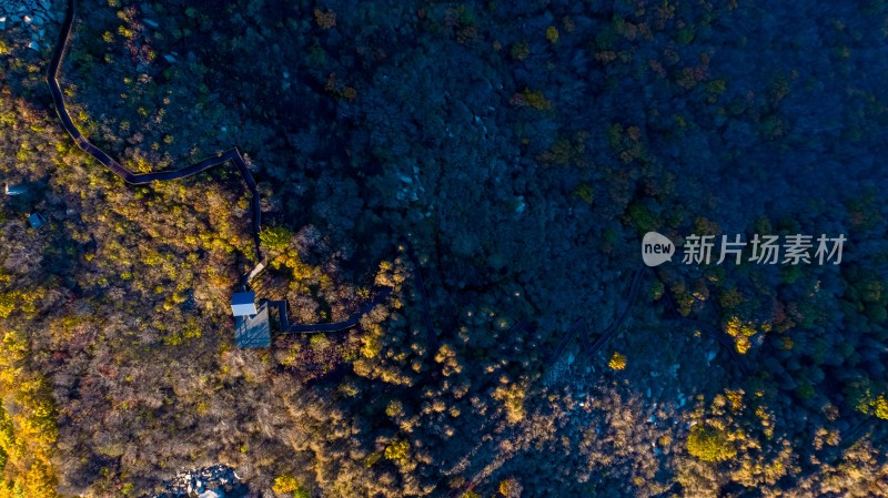 秦皇岛祖山航拍山间蜿蜒小路与树林中小屋