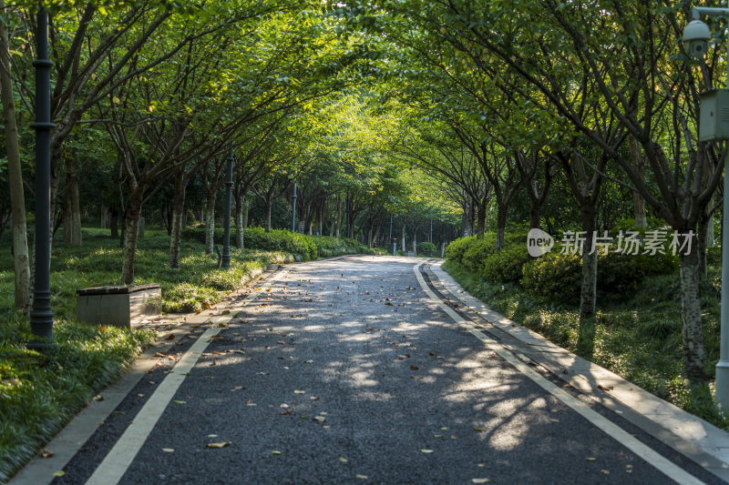 武汉江汉区王家墩公园风景